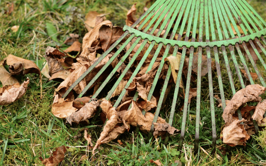 Fall Maintenance Tips for Minnesota Homeowners: Prepping for the Big Freeze